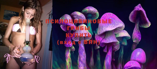 соль ск Алексеевка