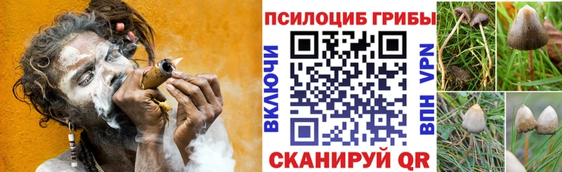 Галлюциногенные грибы ЛСД  сколько стоит  Рошаль 